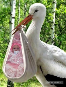 8d0570d84a6456440c1099f59d8e681c