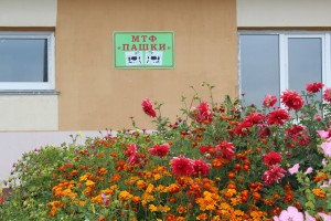 IMG_1131 (Копировать)