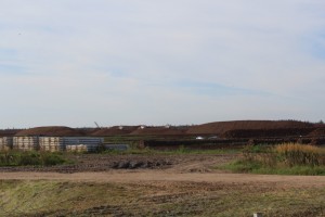 IMG_1221 (Копировать)