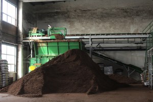 IMG_1226 (Копировать)