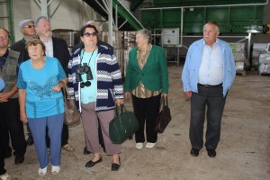 IMG_1229 (Копировать)