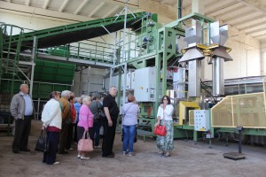 IMG_1230 (Копировать)