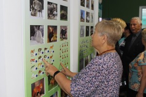 IMG_1247 (Копировать)