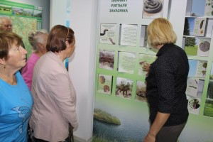 IMG_1248 (Копировать)