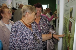 IMG_1250 (Копировать)