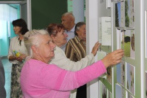 IMG_1253 (Копировать)