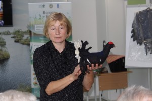 IMG_1262 (Копировать)