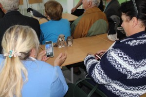 IMG_1263 (Копировать)