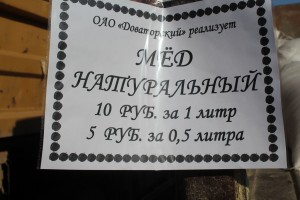 IMG_1597 (Копировать)