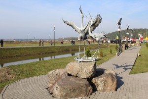 IMG_1992 (Копировать)