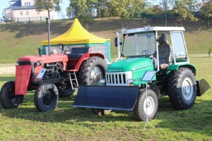 IMG_1993 (Копировать)