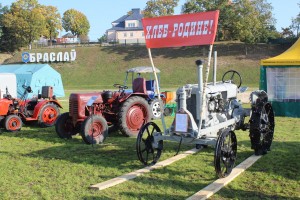 IMG_1994 (Копировать)