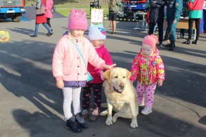 IMG_2009 (Копировать)