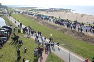 IMG_2057 (Копировать)