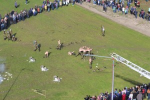 IMG_2063 (Копировать)