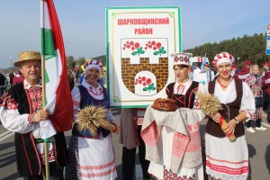 IMG_2078 (Копировать)