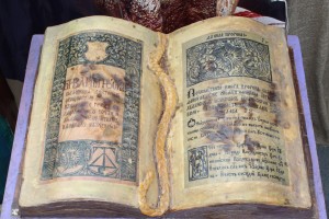 IMG_2298 (Копировать)