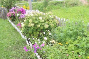 IMG_9275 (Копировать)