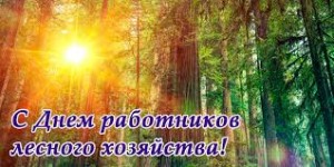 Без названия