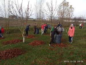 IMG-56e054cc222a2cc3f07da8c4cec7948d-V