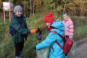 IMG_3095 (Копировать)