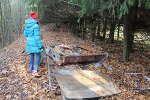 IMG_3131 (Копировать)