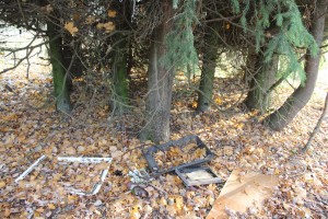 IMG_3135 (Копировать)