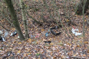 IMG_3136 (Копировать)