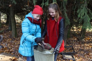 IMG_3140 (Копировать)