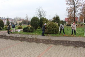 IMG_9486 (Копировать)