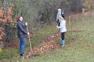 IMG_9510 (Копировать)