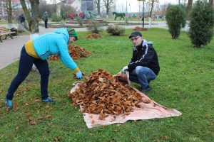 IMG_9517 (Копировать)