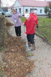 IMG_9559 (Копировать)