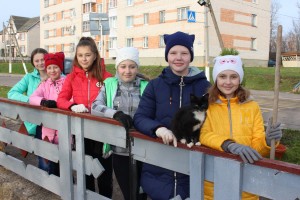 IMG_9584 (Копировать)