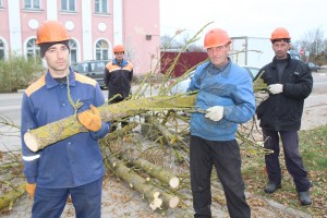 IMG_3379 (Копировать)