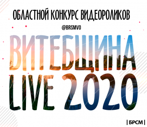 Монтажная область 1