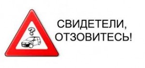 Без названия (33)